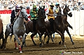 VBS_1039 - Palio di Asti 2024